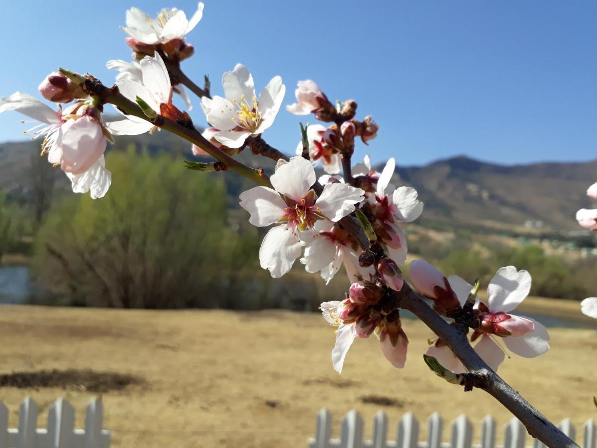 Lake Clarens Guest House Экстерьер фото
