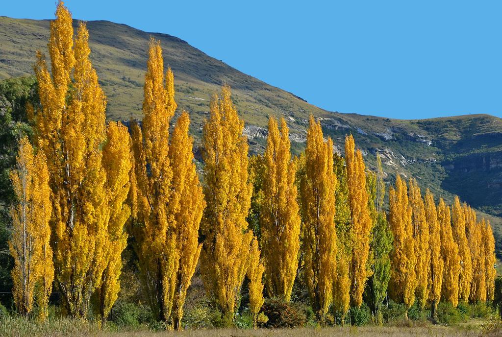 Lake Clarens Guest House Экстерьер фото