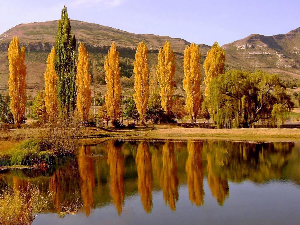 Lake Clarens Guest House Номер фото
